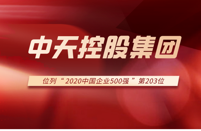 龙8国际集团列2020中国企业500强第203位！