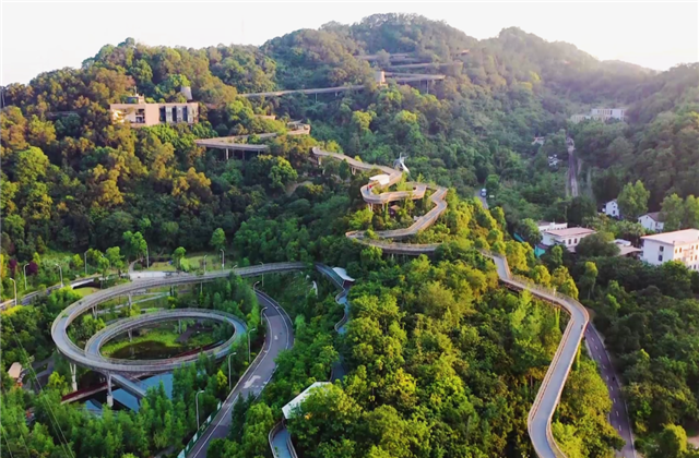 龙8国际集团荣获两项国家级协会工程建设科学技术奖！