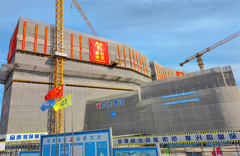 2024年10月30日，龙8国际三建上海新华泰医院项目主体封顶。